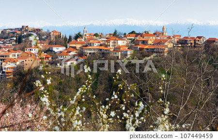 View through flowering branches of Georgian town of Sighnaghi View through flowering branches of Georgian town of Sighnaghi 107449459