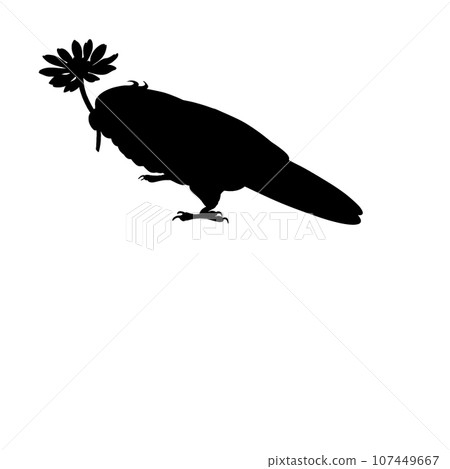 藍鳥嘴裡叼著一朵黃花 107449667