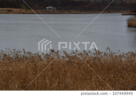 Frozen Lake Harutori 107449949