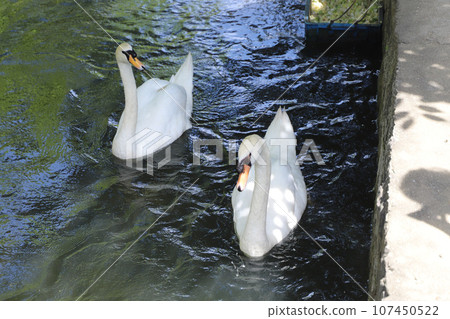 Kurashiki Aichi District Okayama Prefecture 107450522