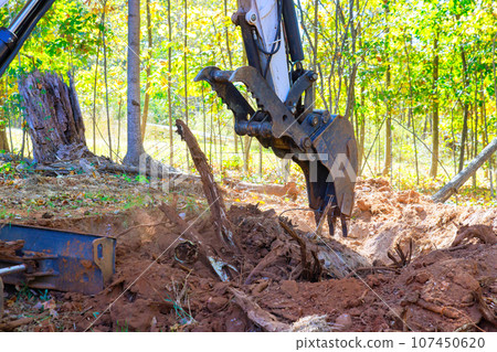 Using excavator, worker uproots trees in preparation for construction of new building Using excavator, worker uproots trees in preparation for construction of new building 107450620