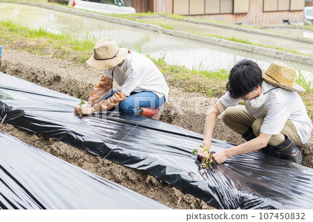 Farm work Farm work 107450832