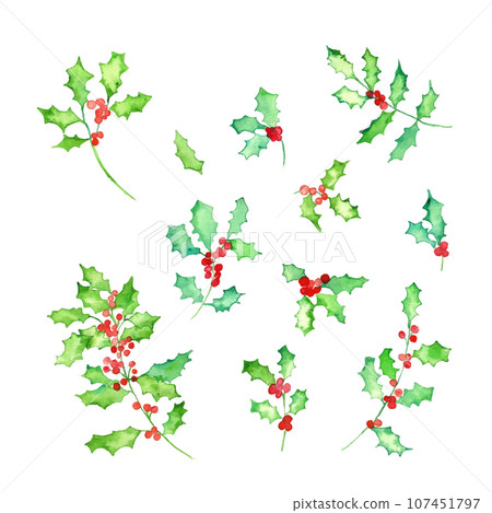 Watercolor. Holly vector frame with watercolor touch. Watercolor. Holly vector frame with watercolor touch. 107451797