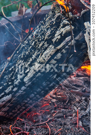 Close up view of burnt log in campfire, with red embers Close up view of burnt log in campfire, with red embers 107452209