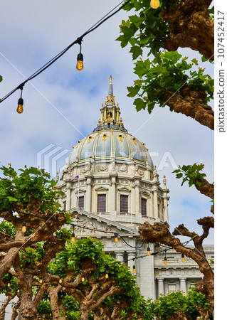String lights through trees with San Francisco City Hall in background 107452417