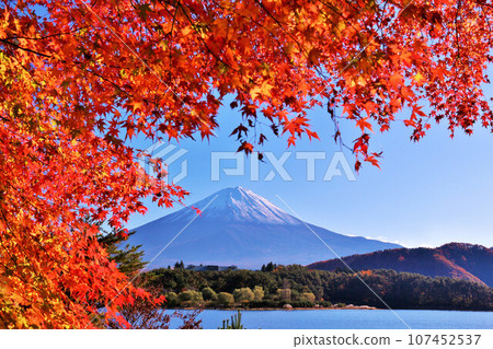 Autumn leaves and Mt. Fuji 107452537