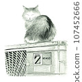Cat taking a nap on the outdoor unit 107452666