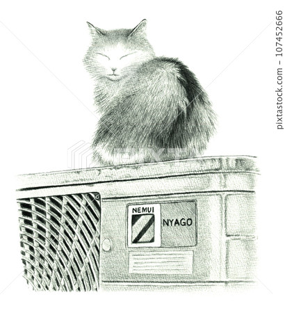 Cat taking a nap on the outdoor unit 107452666