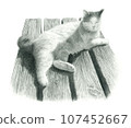 Key-tailed cat basking in the sun on a bench 107452667
