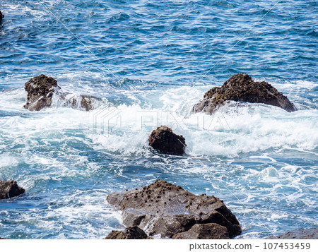 Pacific coast (in Kochi prefecture) in summer (August). Pacific coast (in Kochi prefecture) in summer (August). 107453459