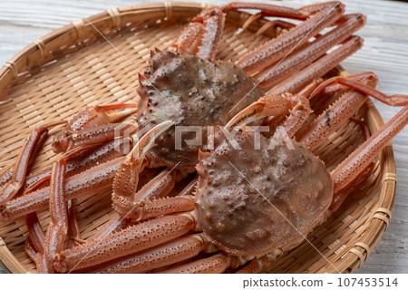 Snow crab Snow crab 107453514