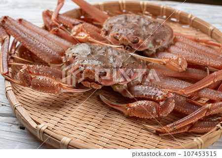 Snow crab Snow crab 107453515