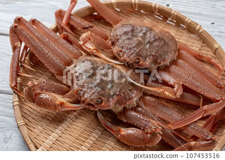 Snow crab Snow crab 107453516