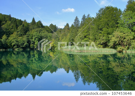 Water mirror of the Upper Lakes, Plitvice Lakes National Park, a world natural heritage site in Croatia Water mirror of the Upper Lakes, Plitvice Lakes National Park, a world natural heritage site in Croatia 107453646
