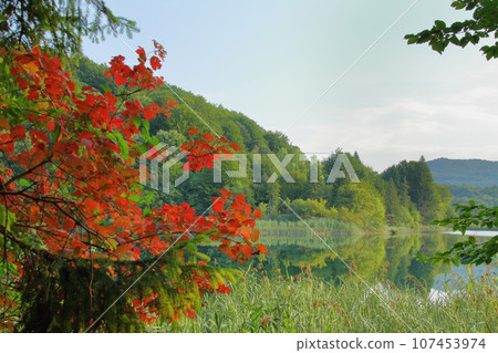 Plitvice Lakes National Park, a world natural heritage site in Croatia: Lakes, forests, and autumn leaves of the Upper Lakes 107453974