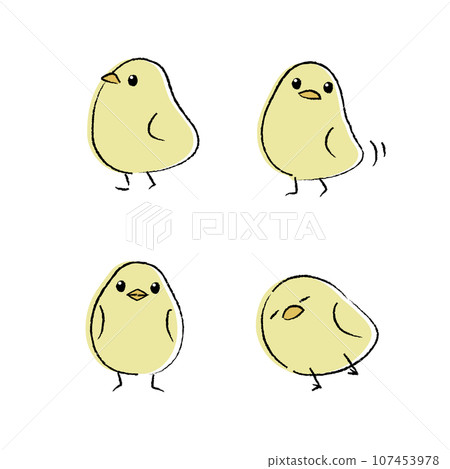 Fluffy chick illustration color - Stock Illustration [107453978] - PIXTA