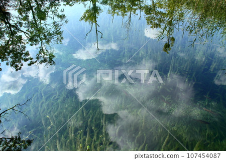 Clouds reflected on the surface of the Upper Lakes, Plitvice Lakes National Park, a world natural heritage site in Croatia, southern Europe Clouds reflected on the surface of the Upper Lakes, Plitvice Lakes National Park, a world natural heritage site in Croatia, southern Europe 107454087
