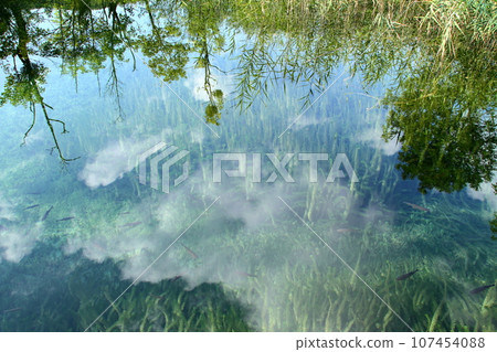 Clouds reflected on the surface of the Upper Lakes, Plitvice Lakes National Park, a world natural heritage site in Croatia, southern Europe 107454088