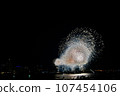 Fireworks Yokohama / Kanagawa Newspaper Firework Display 2014 Yokohama Daigaku Bridge (Yamashita Park) August 5, 2014 107454106