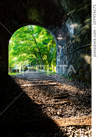 [Hyogo Prefecture] Takedao Abandoned Railway Tunnel 107454273
