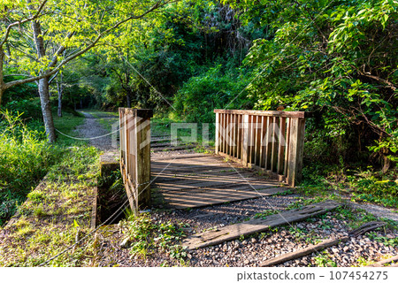 [Hyogo Prefecture] Takedao Abandoned Railway Ruins 107454275