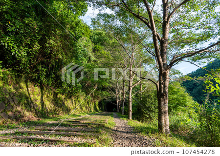 [Hyogo Prefecture] Takedao Abandoned Railway Ruins 107454278