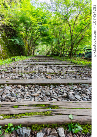 [Hyogo Prefecture] Takedao Abandoned Railway Ruins 107454282