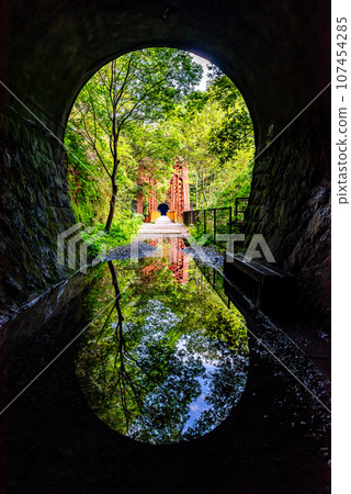 [Hyogo Prefecture] Takedao Abandoned Railway Tunnel 107454285