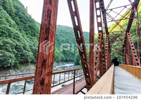 [Hyogo Prefecture] Takedao Abandoned Railway Railway Bridge 107454286