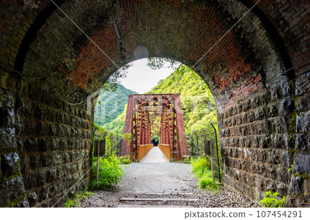 [Hyogo Prefecture] Takedao Abandoned Railway Railway Bridge 107454291