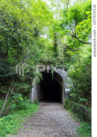[Hyogo Prefecture] Takedao, road leading to abandoned railway tunnel 107454316