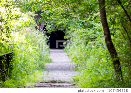 [Hyogo Prefecture] Takedao, road leading to abandoned railway tunnel 107454318