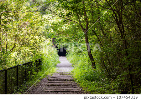[Hyogo Prefecture] Takedao, road leading to abandoned railway tunnel 107454319