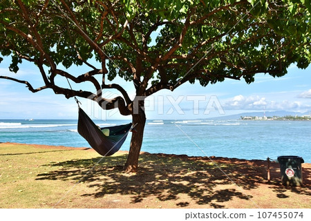 夏威夷的假期 夏威夷的假期 107455074
