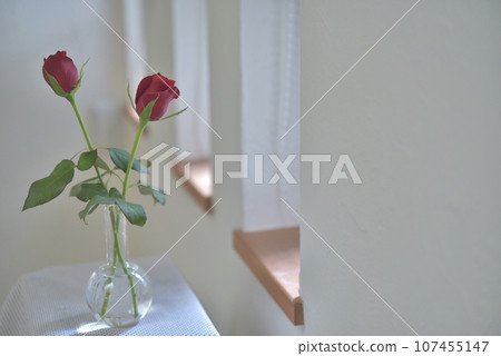 花瓶裡的紅玫瑰 107455147