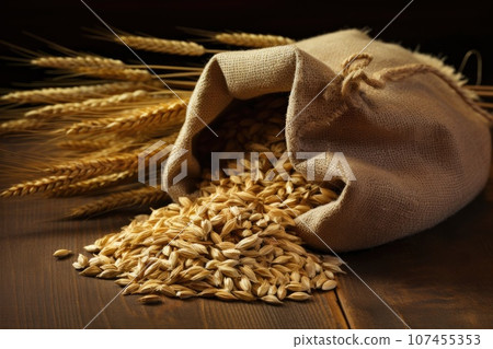 Grains of wheat in a burlap sack on the wooden table 107455353