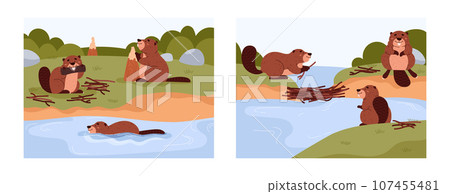 Set of scenes with cute beavers flat stye, vector illustration 107455481