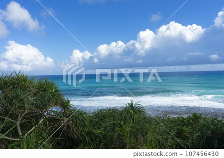 Amami in the passing summer Amami in the passing summer 107456430