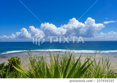 Amami Oshima at the end of summer Amami Oshima at the end of summer 107456585