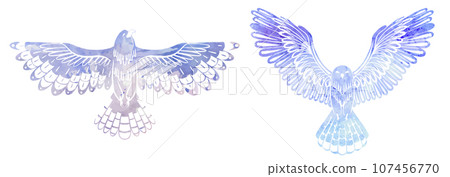 Vector set of watercolor silhouette decorative flying birds. Colorful cliparts of an owl and hawk with spread wings isolated from background. 107456770