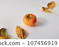 Ripe persimmon 107456919
