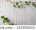 Ivy and white wood floor frame 107456922