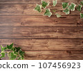 Ivy and wood grain floor frame 107456923