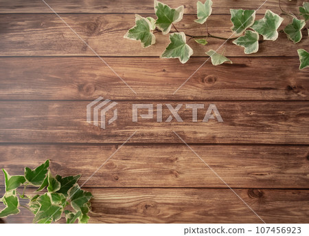 Ivy and wood grain floor frame 107456923