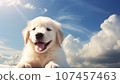 Golden Retriever puppy on the background of blue sky with clouds 107457463