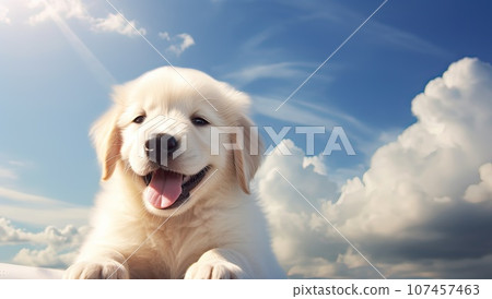 Golden Retriever puppy on the background of blue sky with clouds 107457463