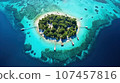 Aerial view of tropical island in the ocean. Inhabited subtropical isle with palm trees and white sand. 107457816
