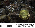 mountain stream and green tea 107457870