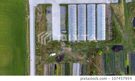 Aerial View of Urban Gardens and Glasshouses 107457954