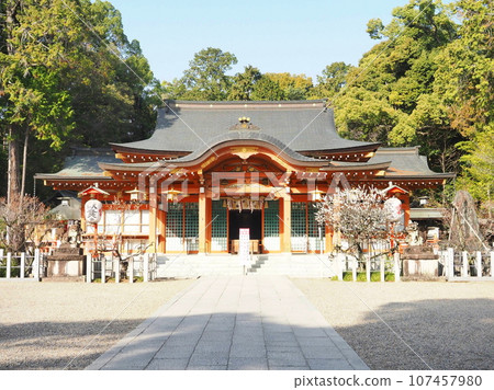 Nagaoka Tenmangu Shrine in early spring “Japanese style image” (Kyoto) 107457980